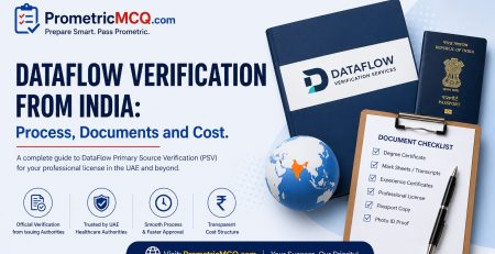 DataFlow Verification from India Process Documents Cost