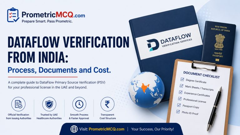 DataFlow Verification from India Process Documents Cost